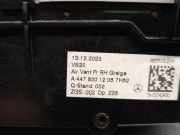 Luftdüse A4478301205 Mercedes-Benz V (447.8) Großraumlimousine 2.0 250d 16V (OM654.920)