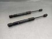 Gasdruckfeder Set Vorne 51237347403 BMW 5 serie (G30) Limousine 520d Mild Hybrid xDrive (B47-D20B)