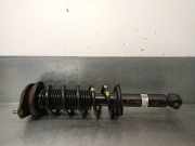 Stoßdämpfer Links Hinten 20365AL030 Subaru Legacy Wagon (BR) Kombi 2.0 D 16V (EE20)