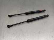 Gasdruckfeder Set Vorne 51327200197 BMW 5 serie Gran Turismo (F07) Schrägheck 520d 16V (N47-D20C)
