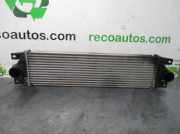 Ladeluftkühler 7701043695 Renault MASTER DESDE ´98 2.2 Diesel