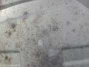 Auspuffanlage Original 18307523730 BMW 3 serie (E46/4) Limousine 316i 16V (N46-B18A)