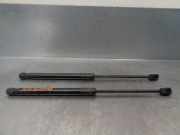 Gasdruckfeder Set Vorne 51327148346 BMW X5 (E70) SUV 3.0d 24V (M57N2-D30(306D3))