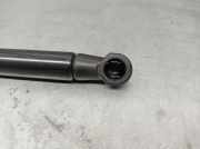 Gasdruckfedern Set Hinten 8W5827919 Audi A4 (B9) Limousine 2.0 TDI Ultra 16V Quattro (DEUA)