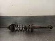 StoÃŸdÃ¤mpfer Links Hinten 6K0513031M Seat Cordoba (6C2/6K2) Limousine 1.6i CLX,GLX,SE,Latino,SX (1F)