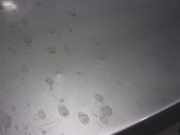 Hintertür A2127500275 Mercedes-Benz CLASE LIM. 2.1 CDI CAT