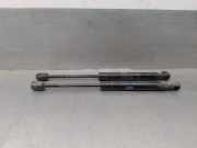 Gasdruckfeder Set Vorne BJ3216C826AA Land + Range Rover Range Rover Evoque (LVJ/LVS) SUV 2.2 TD4 16V (224DT(Euro 5))