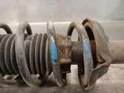 Sto?d?mpfer Rechts Hinten 1119596 Ford Fiesta 4 Schr?gheck 1.3i (J4R)