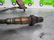 Sonnenblende Rechts 1437595 Opel Zafira Tourer (P12) Großraumlimousine 2.0 CDTI 16V 130 Ecotec (A20DT)