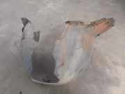 Innenkotflügel Rechts Vorne 5P0809958 Seat Toledo (5P2) Großraumlimousine 2.0 TDI 16V (BKD)