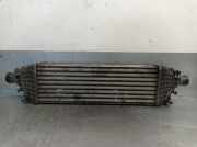 Ladeluftkühler 5S6H9L440AD Ford Fiesta 5 (JD/JH) Schrägheck 1.6 TDCi (HHJB)