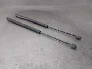 Gasdruckfedern Set Hinten 8200616559 Renault Grand Scénic II (JM) Großraumlimousine 1.5 dCi 105 (K9K-732(K9K-P7))