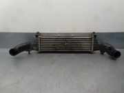 Ladeluftkühler A2025001100 Mercedes-Benz C (W202) Limousine 2.5 C-250 TD 20V (OM605.960)