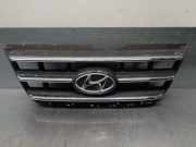 Grill 8636005610 Hyundai Atos Schrägheck 1.1 12V (G4HG)