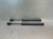 Gasdruckfeder Set Vorne 51237418188 BMW X6 (G06) SUV xDrive 40d Mild Hybrid 3.0 24V (B57-D30B)