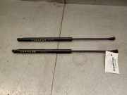 Gasdruckfeder Set Vorne 811613D001 Hyundai Sonata Limousine 2.0i 16V (G4JP)