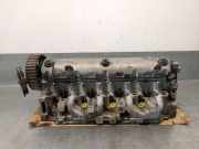 Zylinderkopf 7701478573 Renault I (BA0/1_) 1.9 dTi (BA08, BA0N)