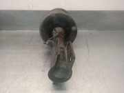 Stoßdämpfer Rechts Vorne 543029580R Renault (B56) 1.8