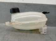 Ausgleichbehälter - 217102572R Nissan Juke (F16) SUV 1.0 DIG-T 117 12V (HRA0)