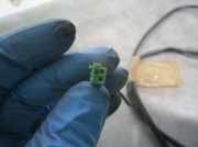 Türgummis A2517680124 Mercedes-Benz R (W251) Großraumlimousine 3.0 320 CDI 24V 4-Matic (OM642.950)