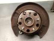 Achsschenkel Halter Rechts Hinten 4230453020 Lexus III (_E3_) 300h (AVE30_)