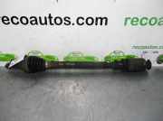 Handgriff Kofferraum 52033080 Fiat TIPO II (357) FAM Easy