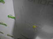 Sonnenblende Rechts 964005130R Renault Fluence (LZ) Limousine 1.6 16V (K4M-R858(Euro 4)