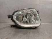 Nebelscheinwerfer Rechts Vorne A2118200656 Mercedes-Benz E (W211) Limousine 2.7 E-270 CDI 20V (OM647.961)