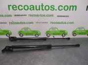 Gasdruckfedern Set Hinten 1623232280 Citroën CITROËN AIRCROSS 1.6 HDi FAP