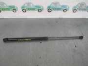 Gasdruckfedern Set Hinten 9630662480 Peugeot 406 (8B) Limousine 1.8 S,SL,ST,STX 16V (XU7JP4(LFY))