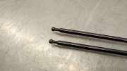 Gasdruckfedern Set Hinten 9813503380 Peugeot 508 (F3/FB/FH/FP) Liftback 2.0 16V BlueHDi 160 (DW10FCC(EHY))