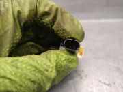 Motorhaube 10438613 Chevrolet USA Camaro Coupé 3.8 V6 (L36)