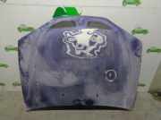 Motorhaube AZUL Renault I COACH/COUPE (DA0) 1.9 dTi Diesel CAT