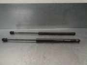 Gasdruckfedern Set Hinten A2029800364 Mercedes-Benz C Kombi (S202) Kombi 2.2 C-220 CDI 16V (OM611.960)