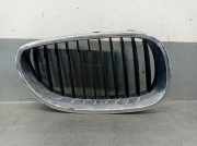 Grill 51137065702 BMW 5 serie Touring (E61) Kombi 525d 24V (256D2)