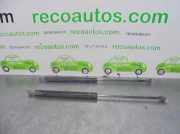 Gasdruckfedern Set Hinten Renault Megane Break/Grandtour (KA) Kombi 5-drs 1.9 dTi 80 (F9Q-744)