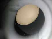 Katalysator 0R050 Toyota Verso Großraumlimousine 2.0 16V D-4D-F (1AD-FTV(Euro 4))