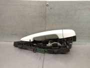 Türgriff Außen Links Hinten 51217396305 BMW X2 (F39) SUV sDrive 20i 1.5 12V TwinPower Turbo (B38-A15A)