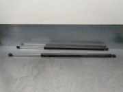 Gasdruckfedern Set Hinten 8200021574 Renault IV (JK0/1_) 2.2 dCi (JK0H)