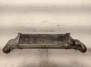 Ladeluftkühler A2025001000 Mercedes-Benz C (W202) Limousine 2.5 C-250 TD 20V (OM605.960)