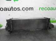 Ladeluftk?hler 7T169L440AD Ford (TC7) 1.8 TDCi CAT