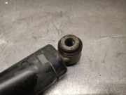 Sto?d?mpfer Rechts Hinten 562107865R Dacia Furgoneta/monovolumen 1.5 dCi 75 / Blue dCi 75 (FEJW, FEAH)