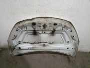 Motorhaube 651007793R Dacia Furgoneta/monovolumen 1.6 LPG