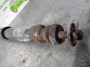 Sto?d?mpfer Rechts Vorne ANR6376 Land + Range Rover Range Rover II Gel?ndewagen 4.6 V8 HSE (46D)