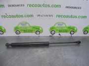 Gasdruckfeder Set Vorne 8200362400 Renault IV (JK0/1_) 2.2 dCi (JK0H)