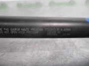 Gasdruckfedern Set Hinten 7700815135 Renault (CO6) 1.3 CAT