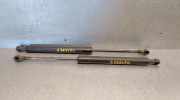Gasdruckfedern Set Hinten 9483297 Volvo S80 (TR/TS) Limousine 2.9 T6 24V (B6294T)