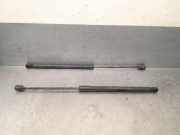 Gasdruckfedern Set Hinten 46827091 Fiat Panda (169) Schrägheck 1.1 Fire (187.A.1000)