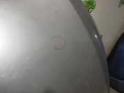 Motorhaube GRIS Seat (5P2) 1.9 TDI