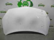 Motorhaube 651000024R Renault I (HY_) 2.0 dCi (HY0K)